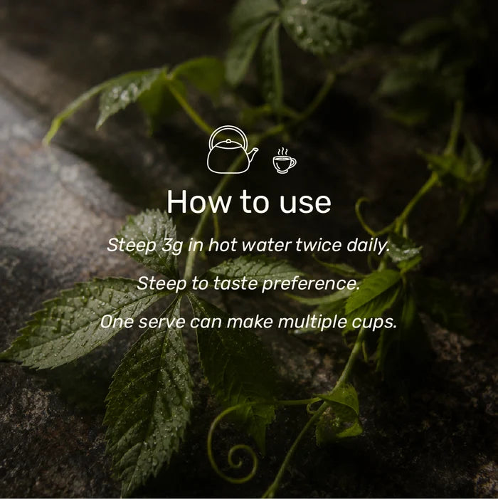 Superfeast Gynostemma Tea