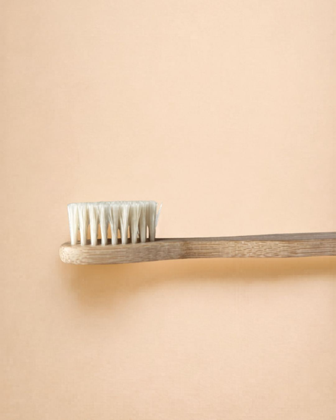 Natural Bristle & Bamboo Toothbrush – Natural Health Co.